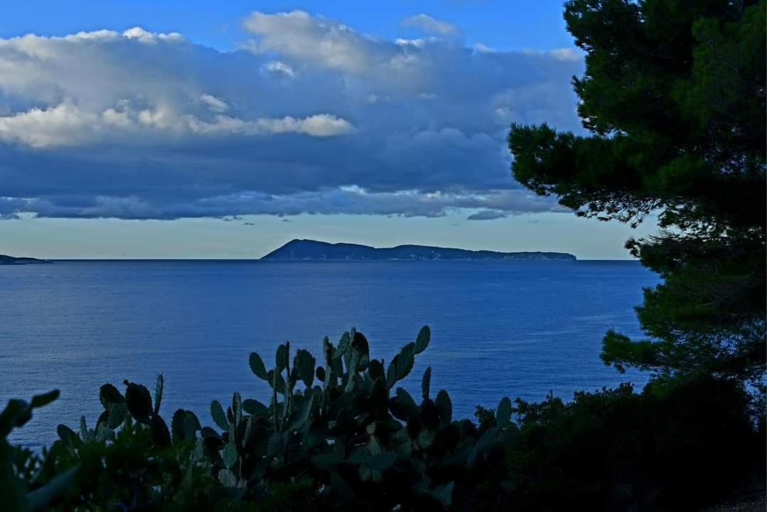 Apartments Neo Rukavac  Εξωτερικό φωτογραφία