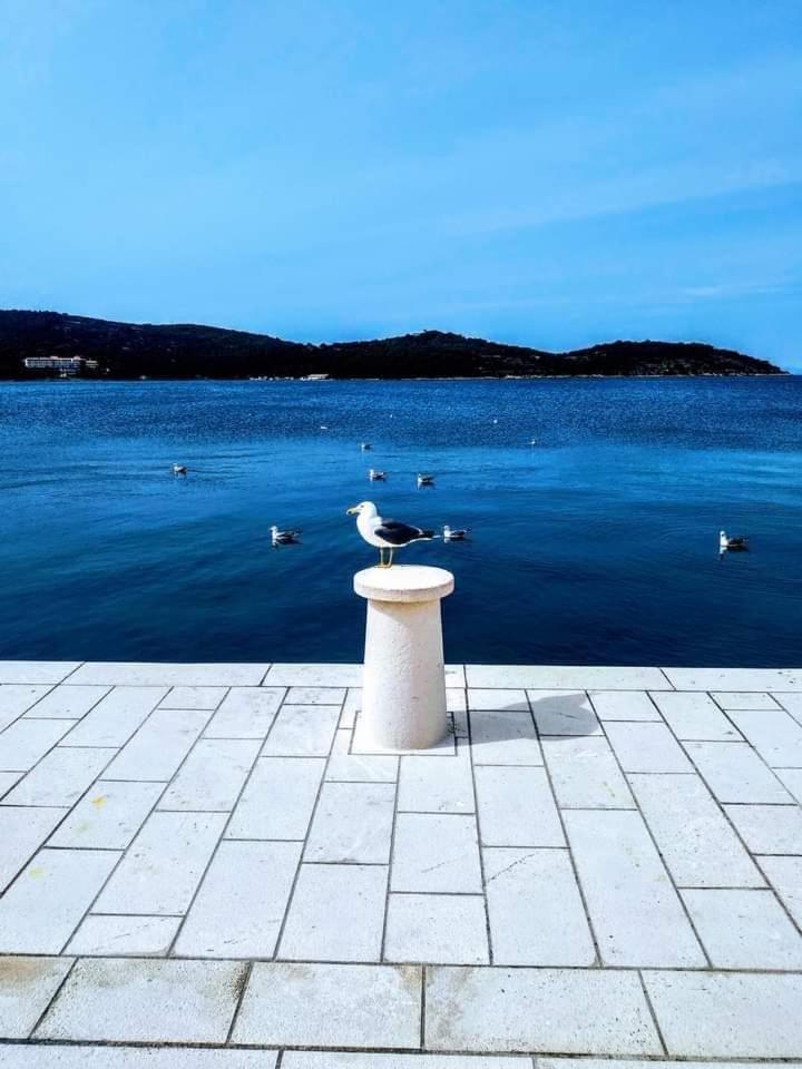Apartments Neo Rukavac  Εξωτερικό φωτογραφία